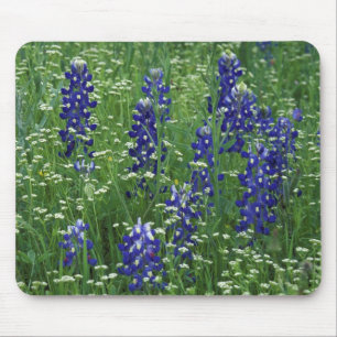 Mousepad Texas, Lago Buchanan. Texas Bluebonnet e Selvagem