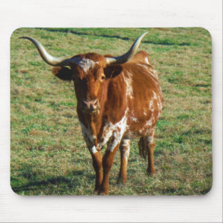 Mousepad Texas Longhorn Cattle Cattle Photo Rustic