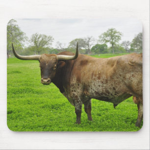 Mousepad Texas queimou o boi alaranjado de Longhorn