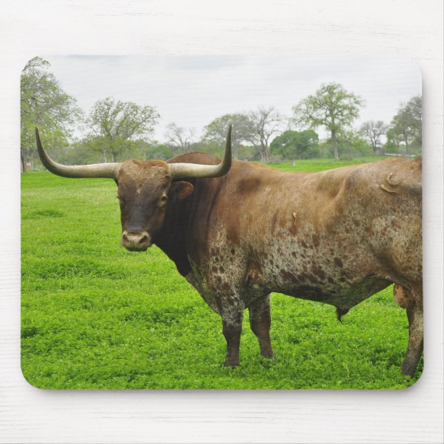 Mousepad Texas queimou o boi alaranjado de Longhorn (Frente)