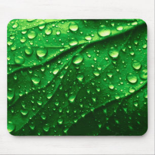 Mousepad Textura verde realística da folha com gotas da