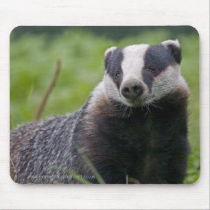 Mousepad Texugo Mousemat