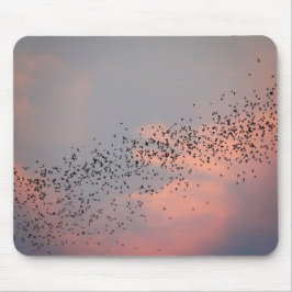 Mousepad Thailand - Phu Pha Man National Park Bat