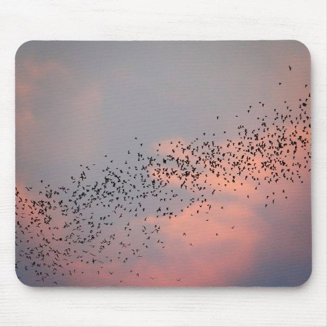 Mousepad Thailand - Phu Pha Man National Park Bat (Frente)