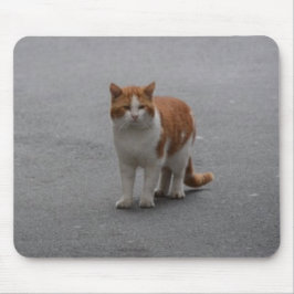 Mousepad Thomas Ginger E Gata Branca