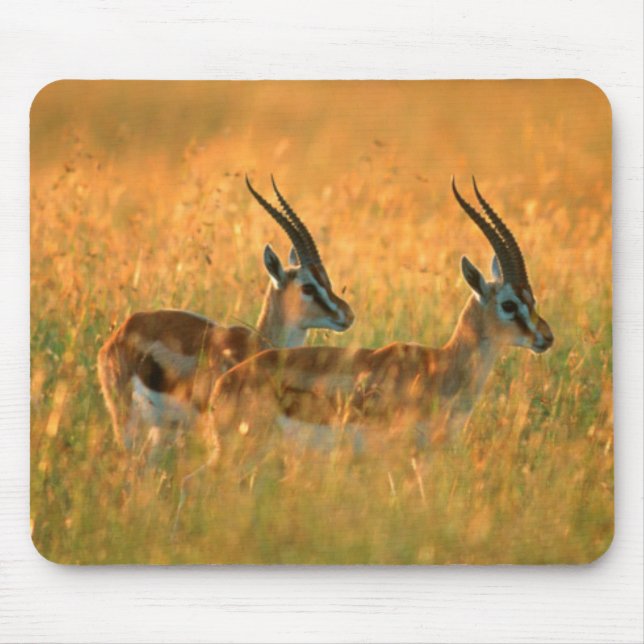 Mousepad Thomson's Gazelle (Gazella Thomsonii) No Dawn (Frente)
