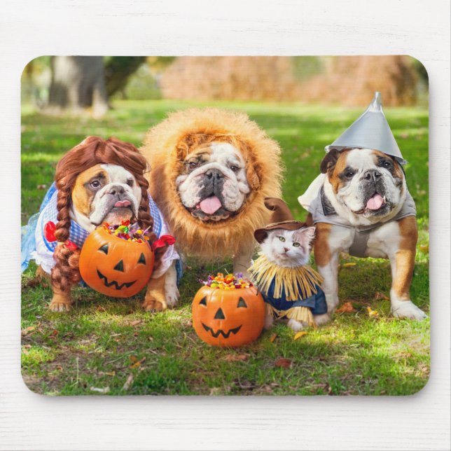Mousepad Three Bulldogs in Costumes (Frente)