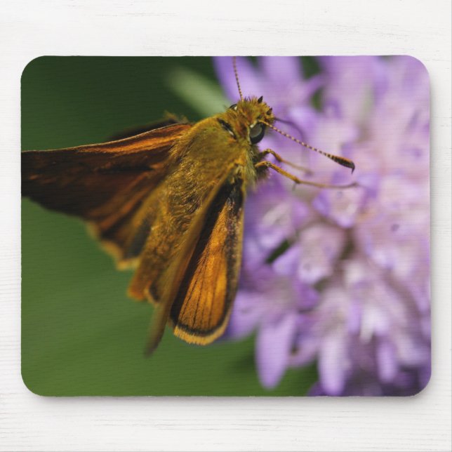 Mousepad Thymelicus lineola (Frente)
