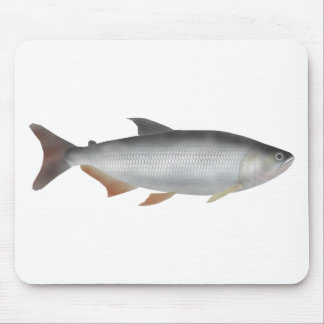 Mousepad Tiete tetra