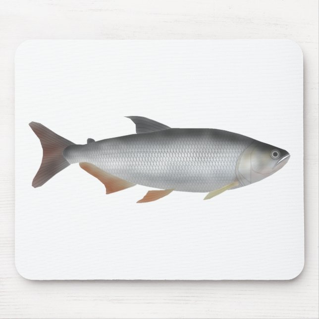 Mousepad Tiete tetra (Frente)