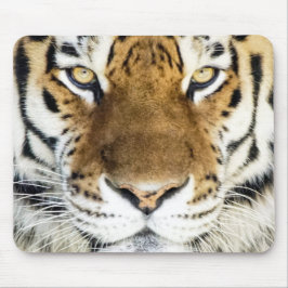 Mousepad Tiger