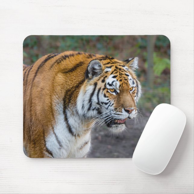 Mousepad Tíger Amur (Com mouse)