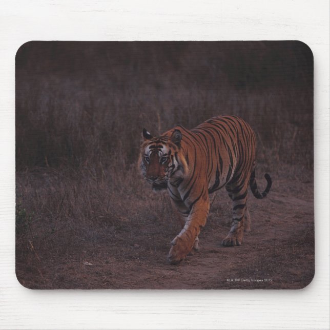Mousepad Tiger caminha pela trilha (Frente)
