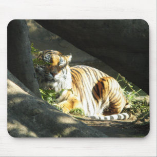 Mousepad Tiger Catnap