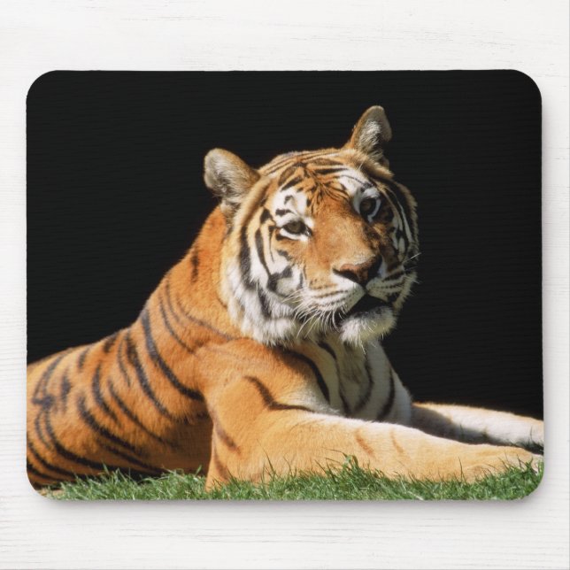 Mousepad Tiger Closeup (Frente)