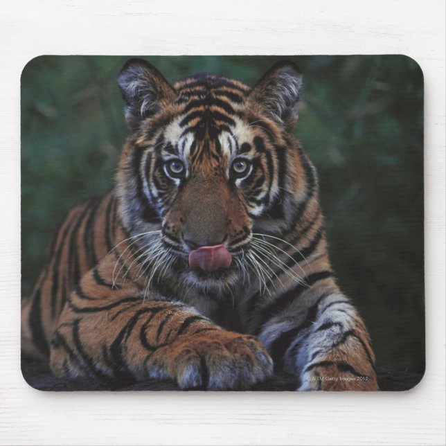 Mousepad Tiger Cub Reclama Rock (Frente)