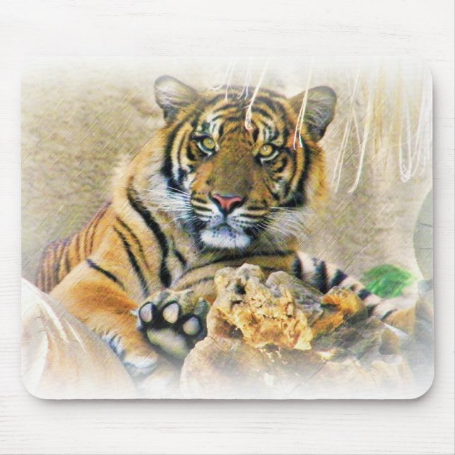 Mousepad Tiger,Procurando_ (Frente)