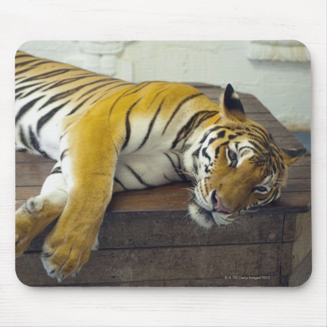 Mousepad Tiger, Samui, Tailândia (Frente)