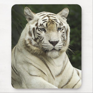 Mousepad tigre