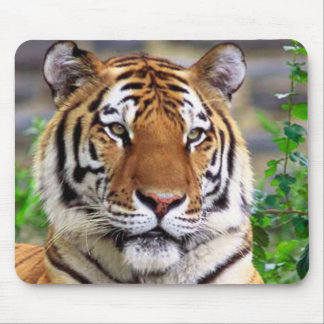 Mousepad Tigre