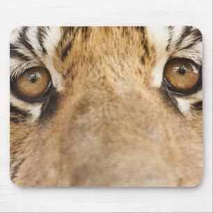 Mousepad Tigre