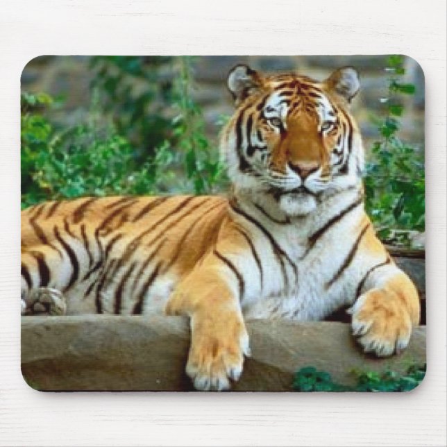 Mousepad Tigre (Frente)