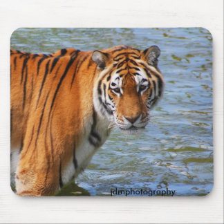 Mousepad Tigre