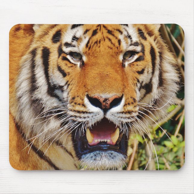 Mousepad Tigre (Frente)