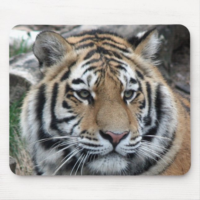 Mousepad Tigre (Frente)