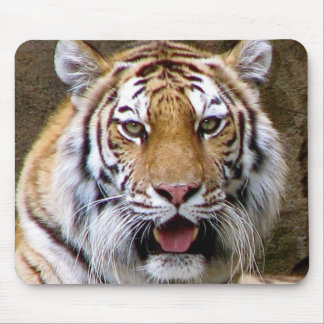 Mousepad Tigre