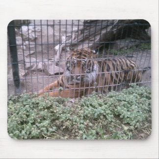 Mousepad Tigre