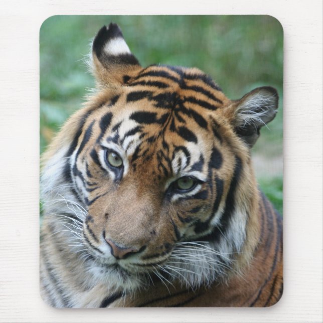 Mousepad Tigre 013 (Frente)