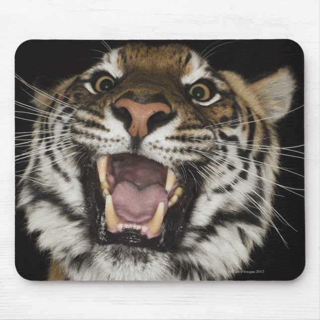 Mousepad Tigre ao redor 2 (Frente)