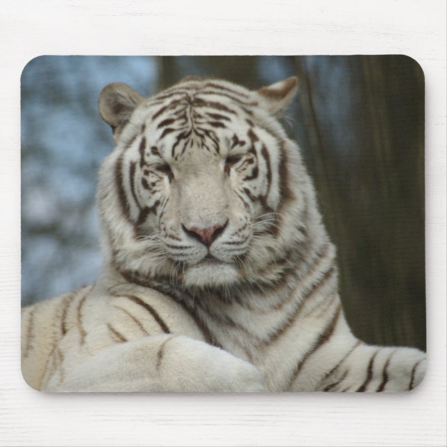 Mousepad Tigre Branco (Frente)