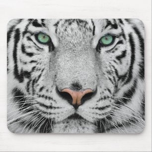 Mousepad Tigre branco