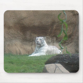 Mousepad Tigre Branco Basking