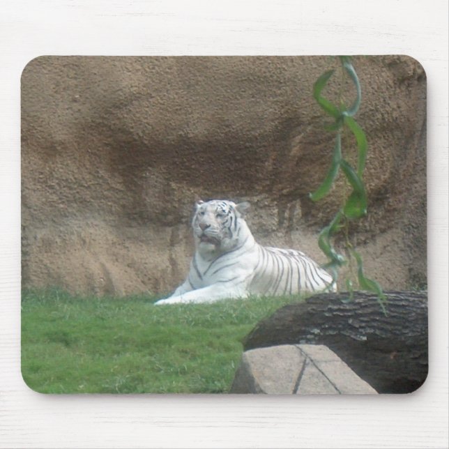 Mousepad Tigre Branco Basking (Frente)