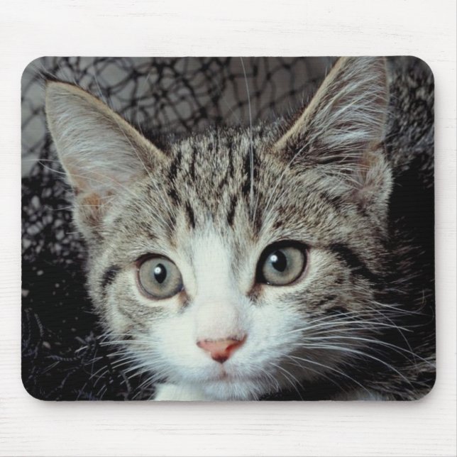 Mousepad Tigre Cat (Frente)