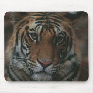 Mousepad Tigre Cub