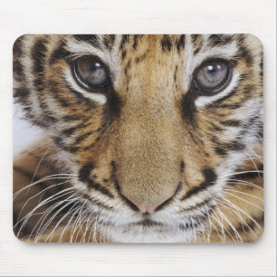 Mousepad Tigre Cub