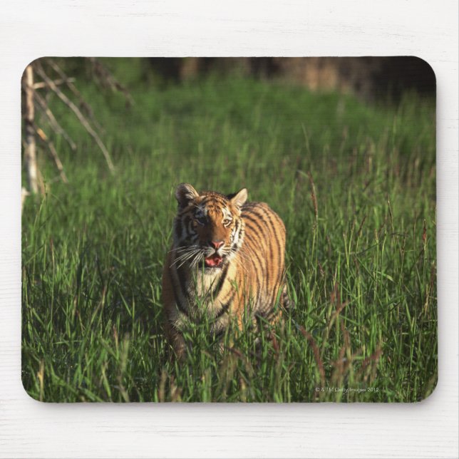 Mousepad Tigre de Bengala (Frente)