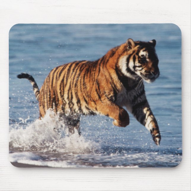 Mousepad Tigre-de-bengala (Panthera Tigris) (Frente)