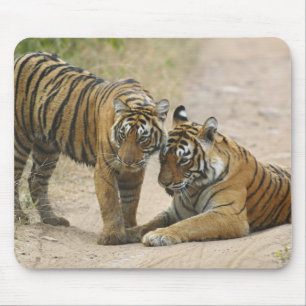 Mousepad Tigre-de-bengala-real e filhote - Tocando à frente