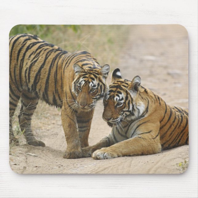 Mousepad Tigre-de-bengala-real e filhote - Tocando à frente (Frente)
