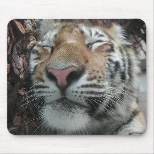 Mousepad Tigre de dormir