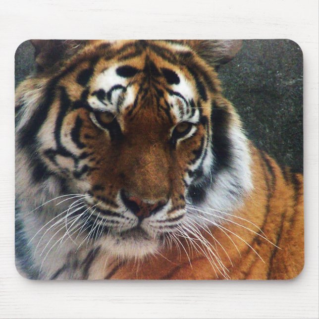 Mousepad Tigre e rato… (Frente)