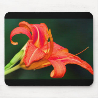 Mousepad Tigre Lilly