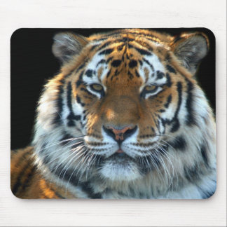 Mousepad Tigre majestoso de Sumatran