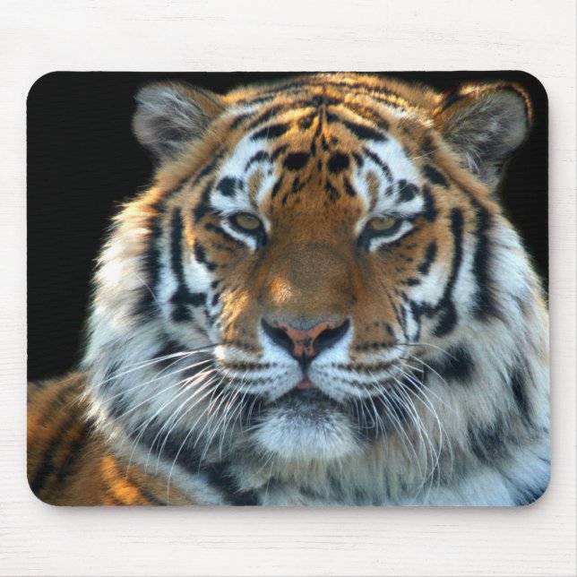 Mousepad Tigre majestoso de Sumatran (Frente)