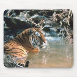 Mousepad Tigre na água